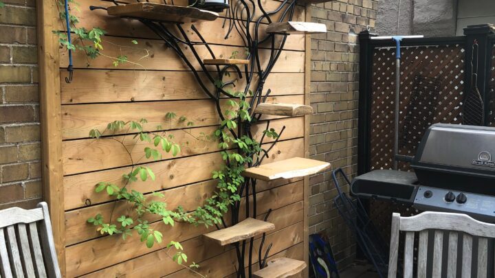 A wooden wall with shelves and plants on it