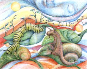 Leaf Time *sold ; colour pencil and pencil 10"x8"