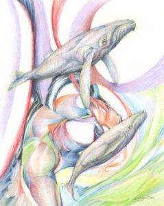 October Whales *sold ; colour pencil and pencil 8"x10"