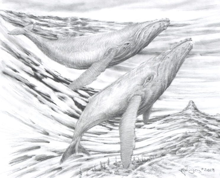 Whales have swam through that once-beenConcept drawing: Layers of Time, Water over Land. water, changed themselves from land to water beasts over that time.
