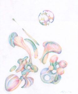 A drawing of different colored mushrooms and a ball