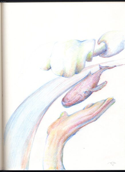 Automatic drawing of gentle yet dynamic relationships.