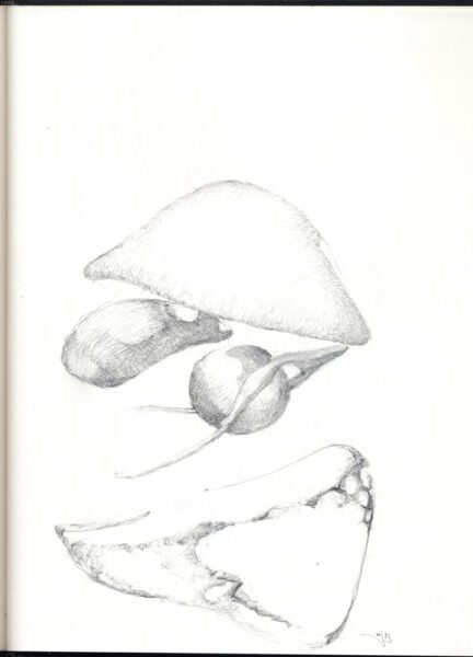 Shape play, a sketchbook automatic drawing.
