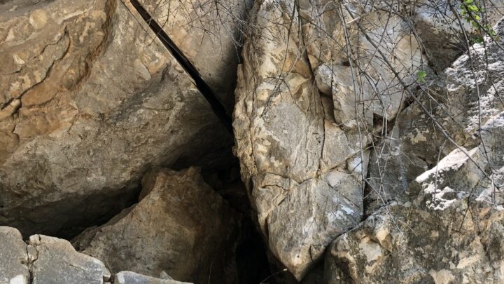 Rock formations with branches overhead.